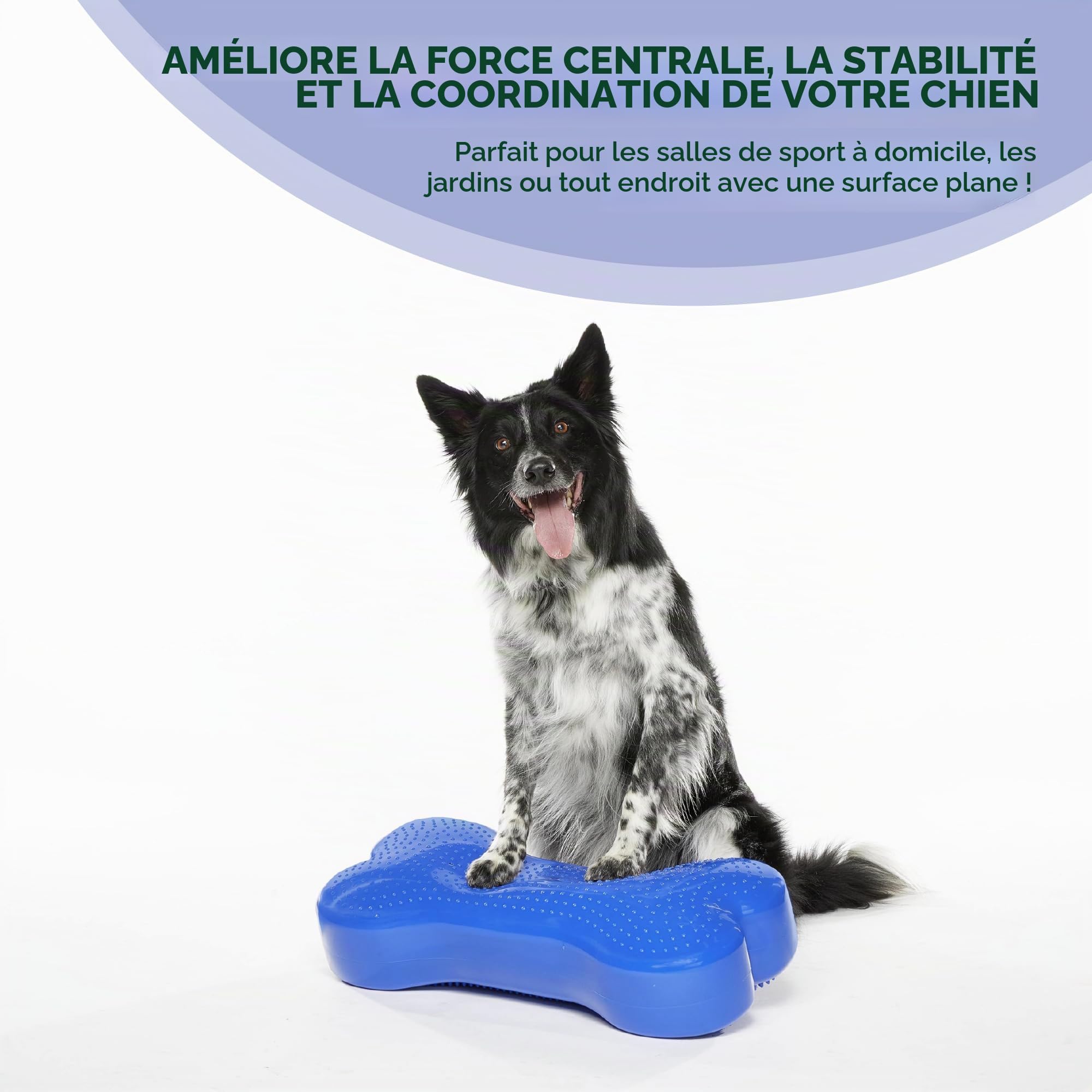 Ball Dynamics Int. LLC K9FITbone Disque d'Equilibre en Forme d'OS pour Chien Bleu Ciel 58 x 29 x 10 cm
