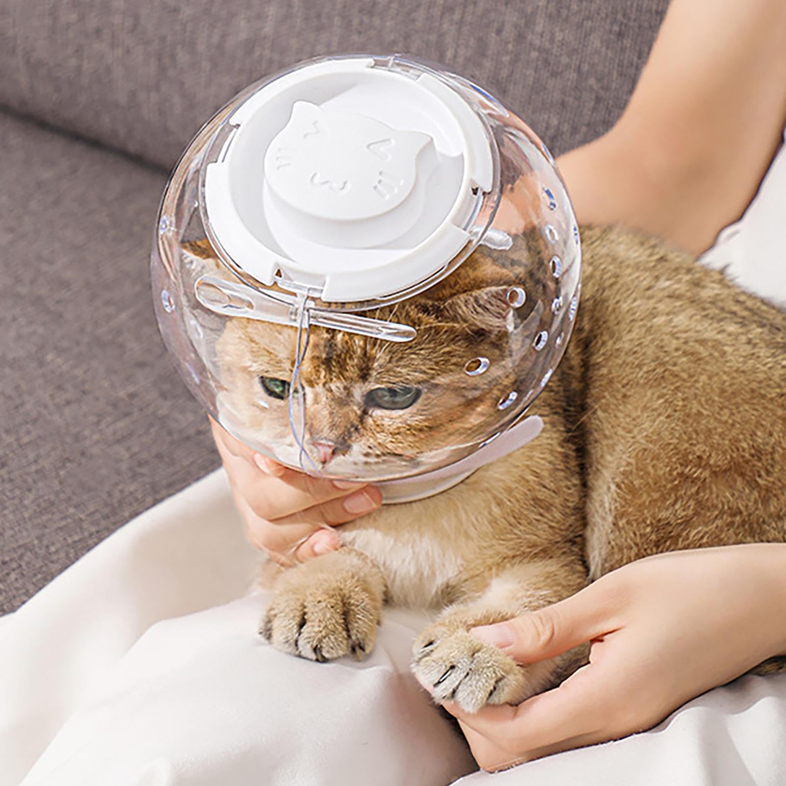 Museruola A Bolla Per Gatti Trasparente E Leggera Con Cinghie Regolabili – Ideale Per Toelettatura, Taglio Unghie E Visite Dal Vet