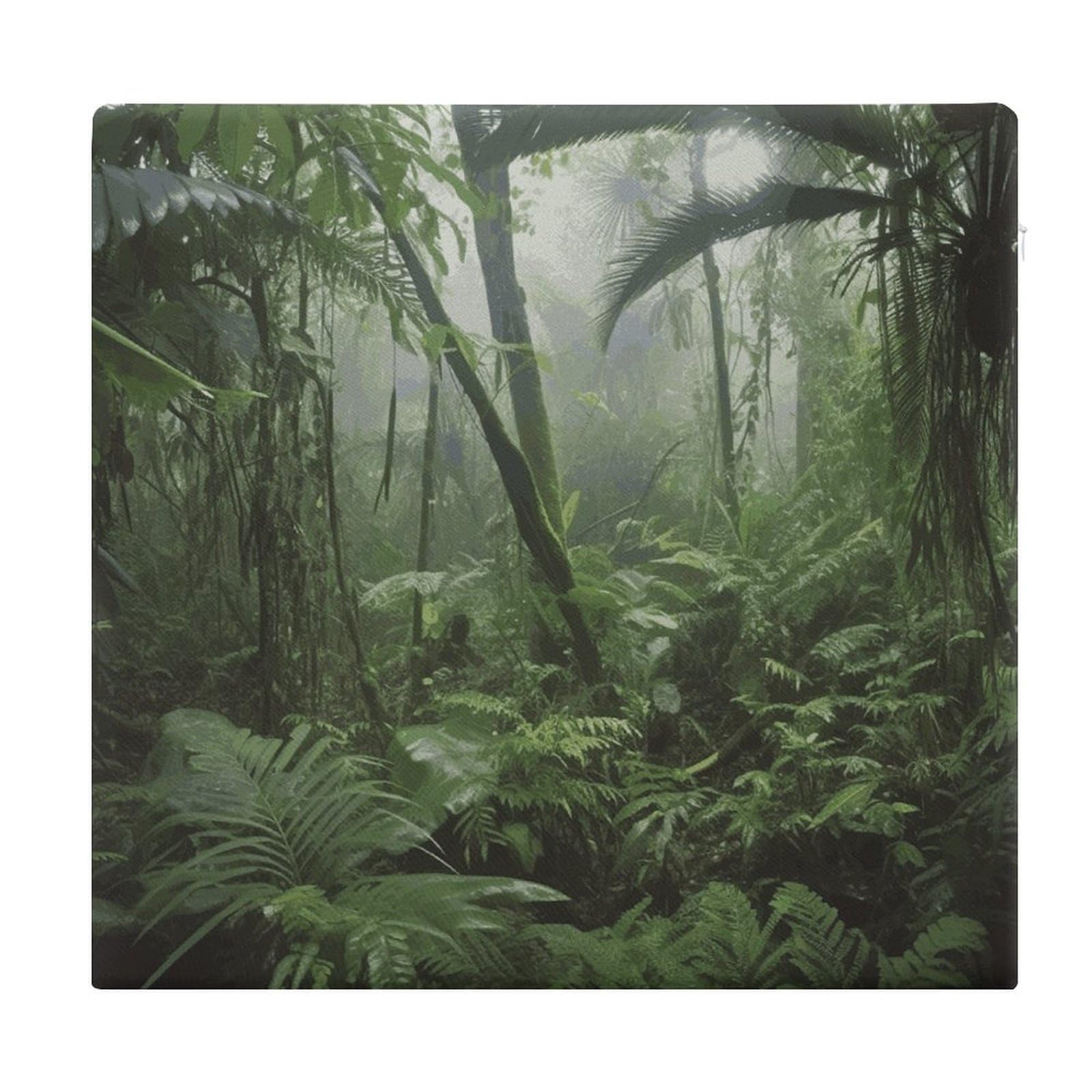 LDGSUPH - Rainforest seat cushions for office chair square cushions soft floor cushions cozy memory foam cushion cushions for home travel chair car