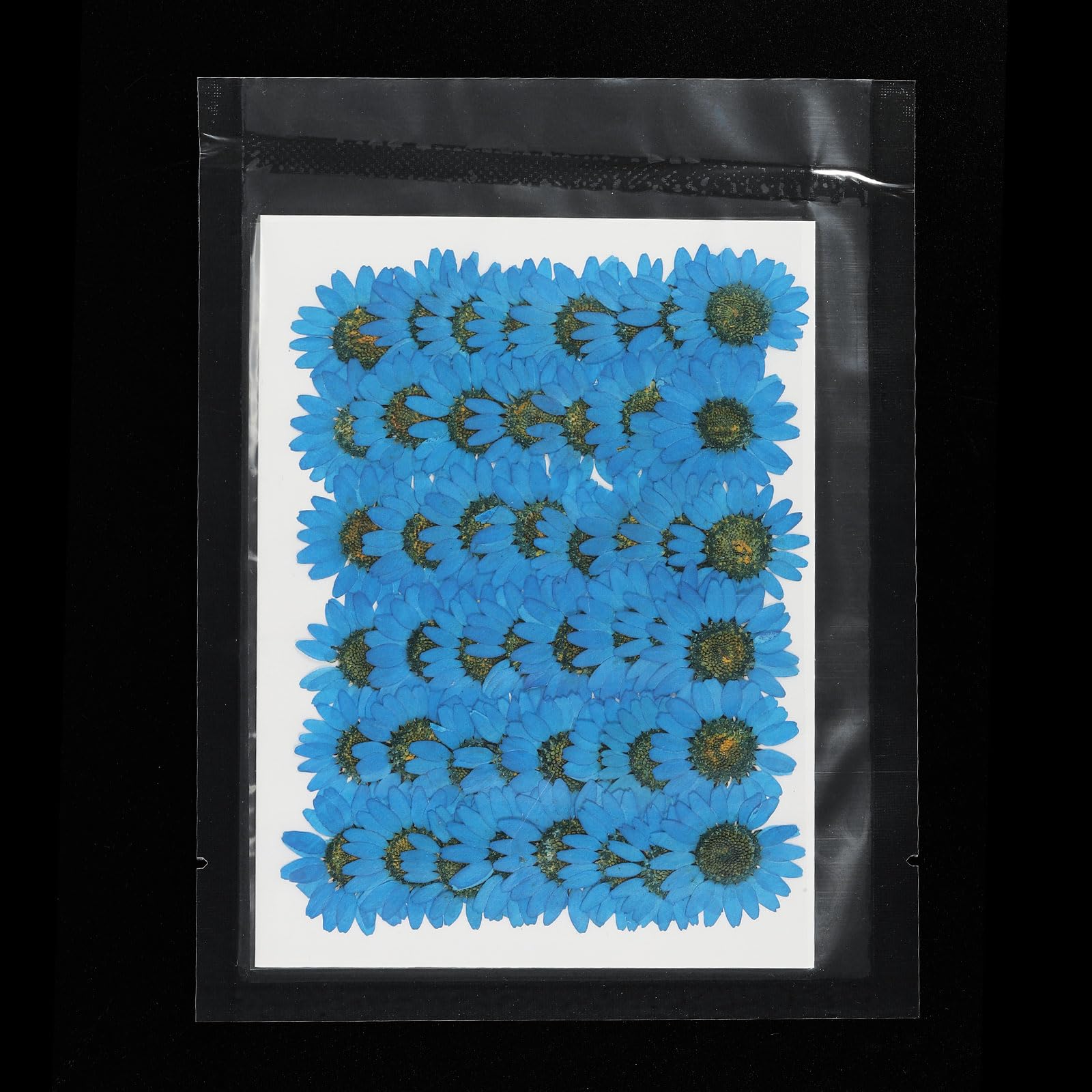 PATIKIL 48 Pcs Dried Pressed Flower Natural Dried Daisy Flower for DIY Art Crafts House Decoration Nails Decoration,Sapphire Blue - Image 4