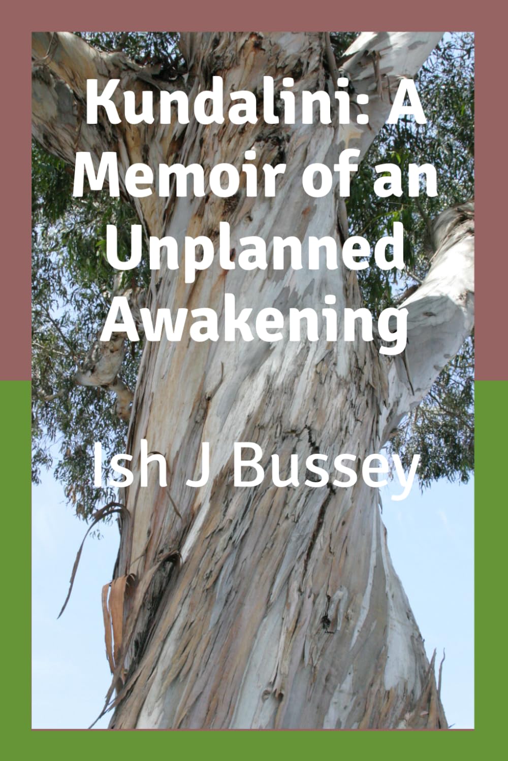 Kundalini: A Memoir of an Unplanned Awakening