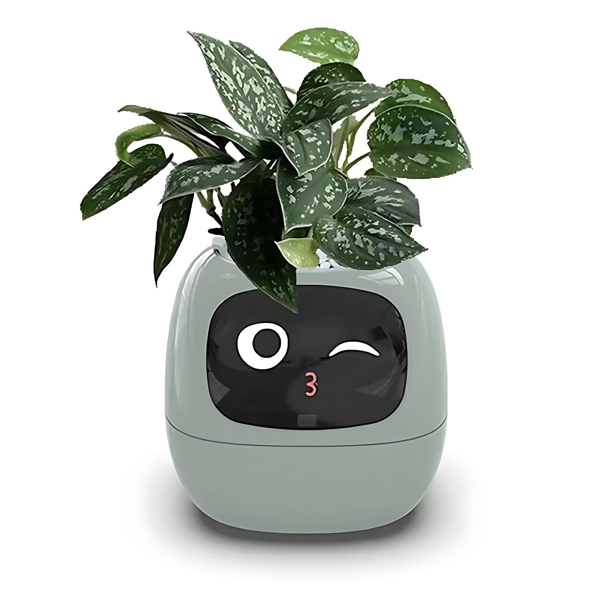 Smart Pet Planter avec expressions pour réussir l'arrosage des plantes