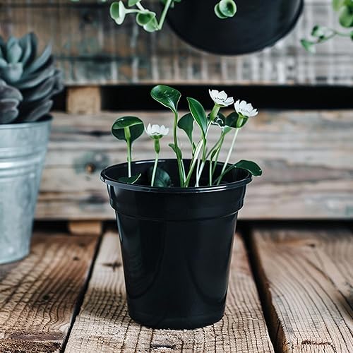 Miniatura 6 de UPMCT Paquete variado de macetas de 4, 5, 6 pulgadas, 24 paquetes de macetas redondas de plástico decorativas para plantas con agujero de drenaje,