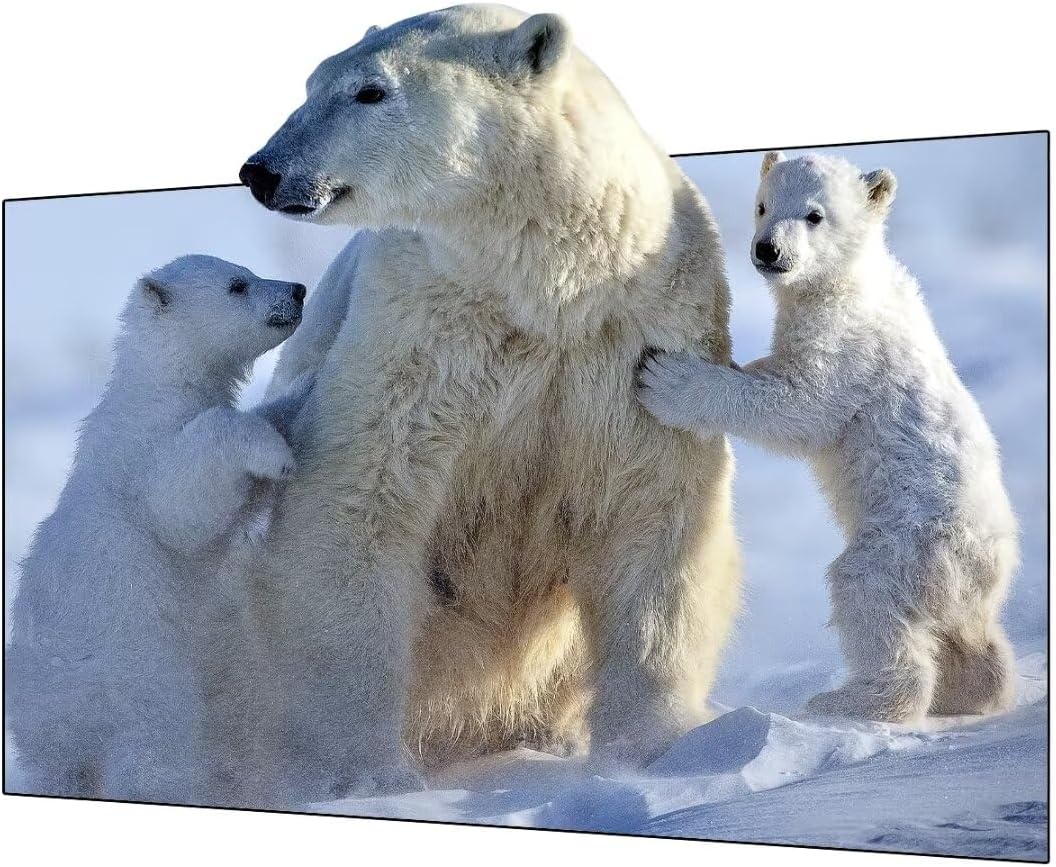 2023 Wupro2023 New Black Crystal Picture Frame ALR Home Cinema 16:9 70 inch Screen 2023 Wupro2023 New Black Crystal Picture Frame ALR Home Cinema 16:9 70 inch Screen