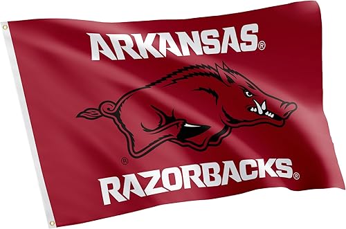 Desert Cactus Bandera de la Universidad de Arkansas Razorbacks U of A Hogs, banderines 100% poliéster, para interiores y exteriores, 3 x 5 (diseño K)