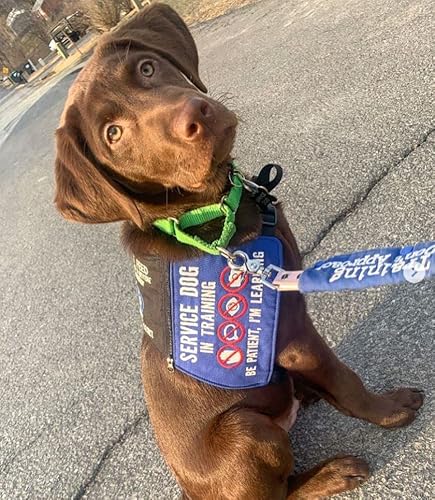 Country Brook Petz - Hot Lime Green Martingale Heavy Duty Nylon Dog Collar - 21 Vibrant Color Options (1 Inch Width, Medium) #TOP1