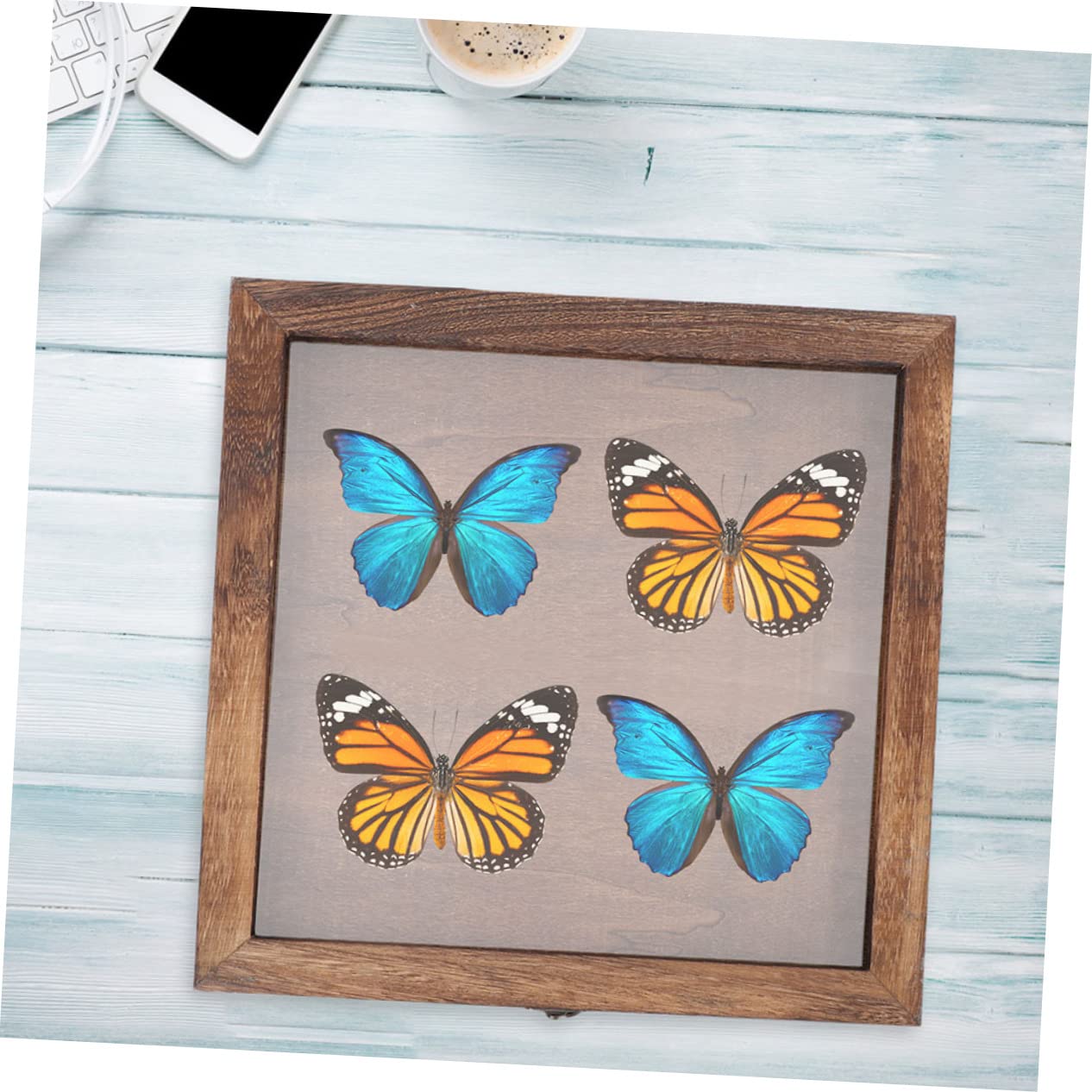 Vitrine pour Spécimens en Bois et Acrylique, Boîte de Présentation Rétro à Grosse Capacité, Cadre Boîte à Ombre Transparent et Anti-humidité pour Collection Style Aléatoire