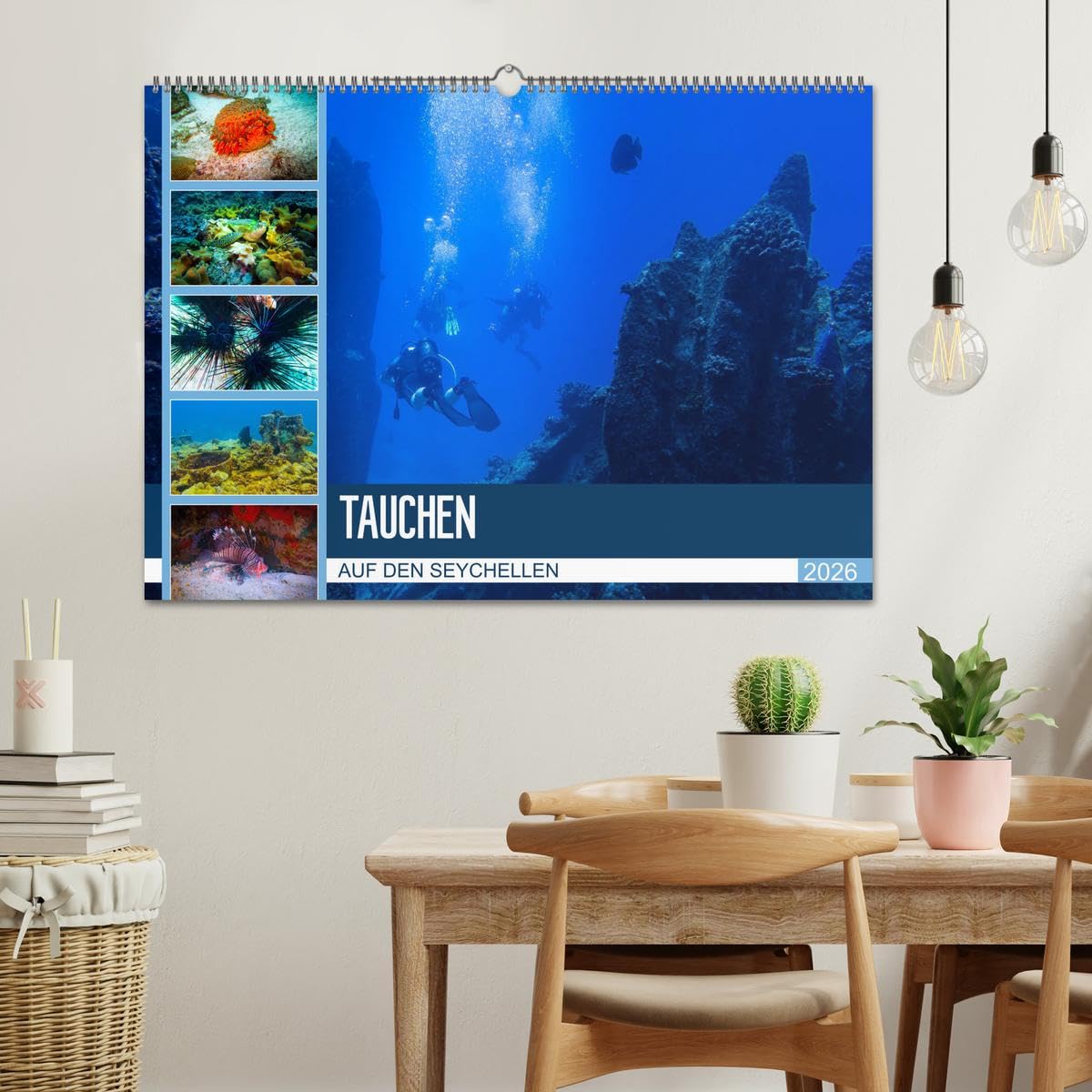 Tauchen auf den Sychellen (Wandkalender 2026 DIN A2 quer), CALVENDO Monatskalender: Faszination Unterwasserwelt