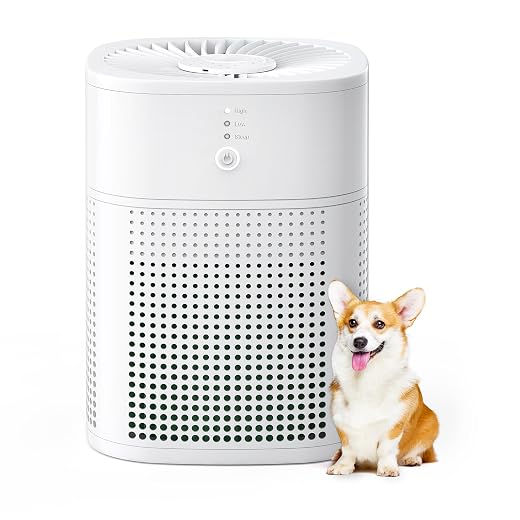 Air Purifiers for Bedroom, MORENTO Room Air Purifier HEPA Filter for Smoke, Allergies, Pet Dander Odor with Fragrance Sponge, Small Air Purifier with 24db Sleep Mode, HY1800, White