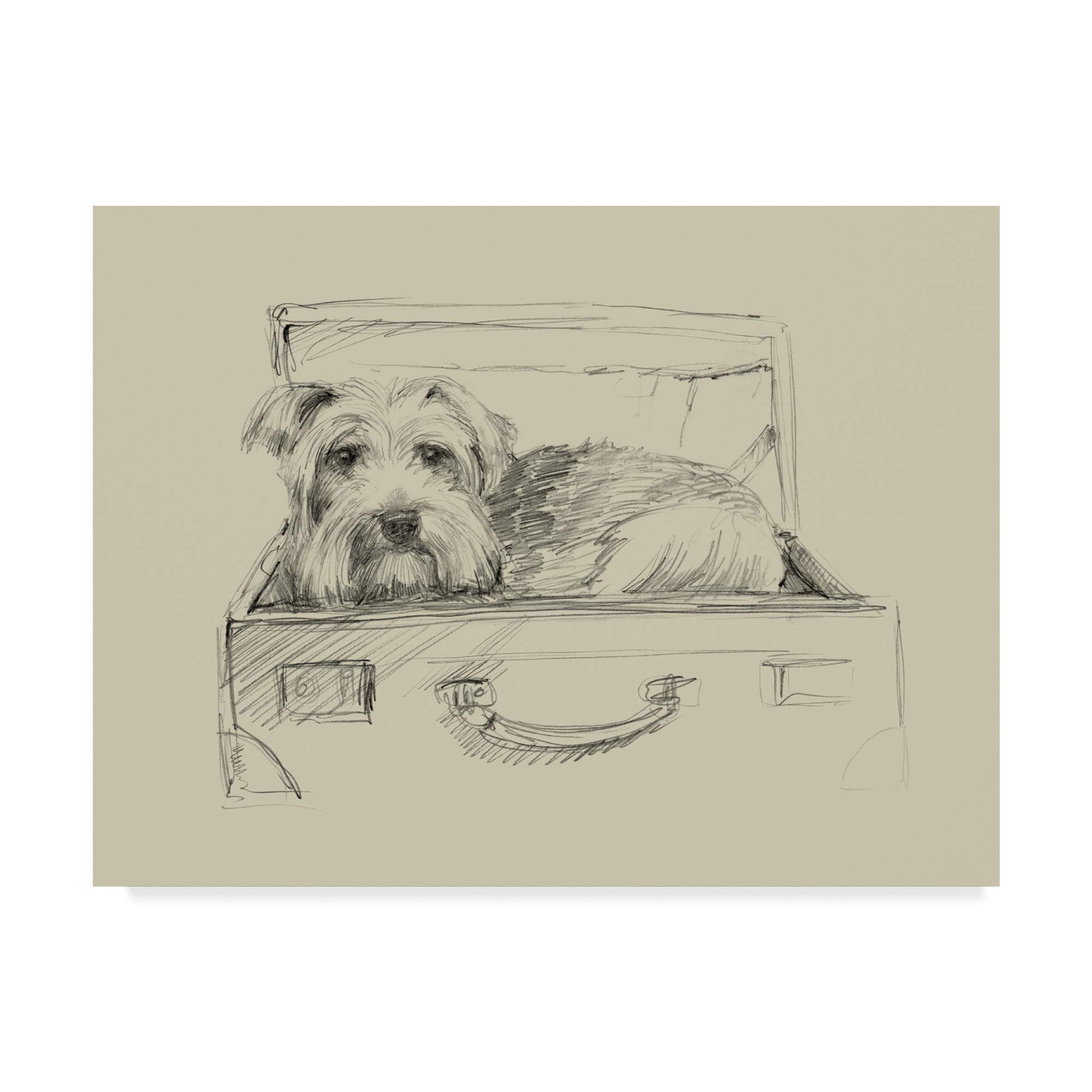 Trademark Fine Art WAG04842-C1824GG Stowaway I by Ethan Harper, 18x24