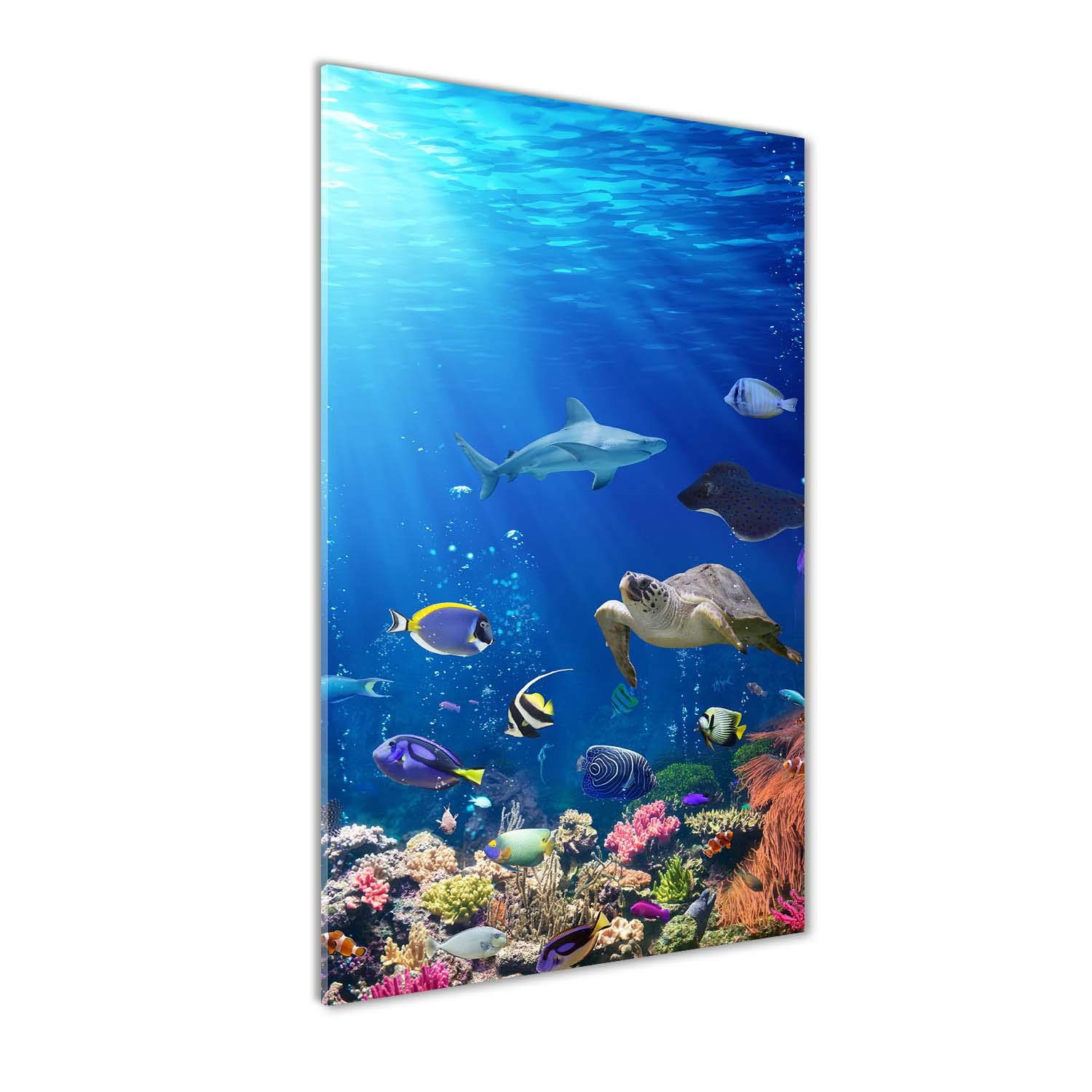 Déco mural derrière le plastique 70x140 cm impression verre acrylique paysage corail