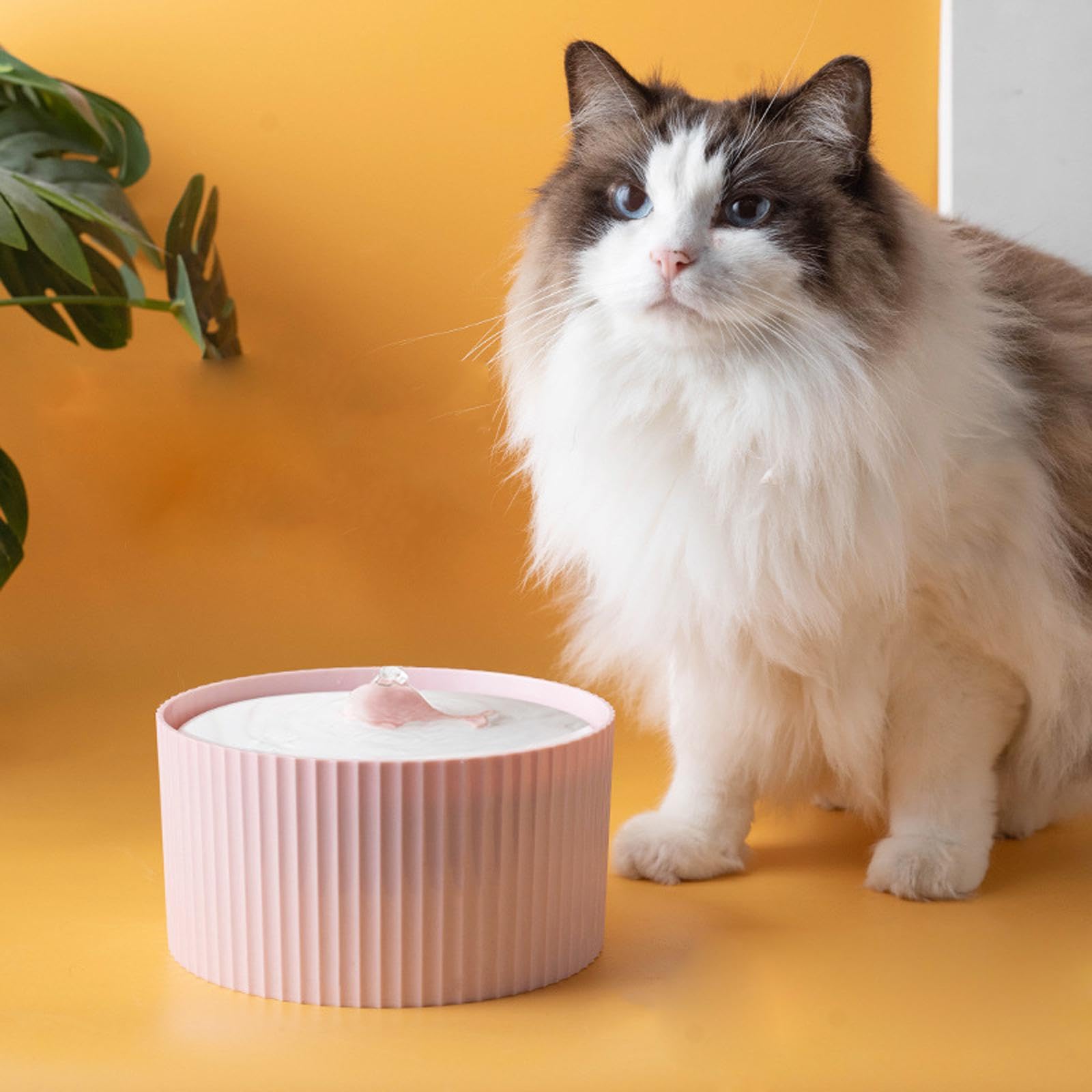 Fuente de Cerámica para Mascotas, Dispensador Automático de Agua, Rosa