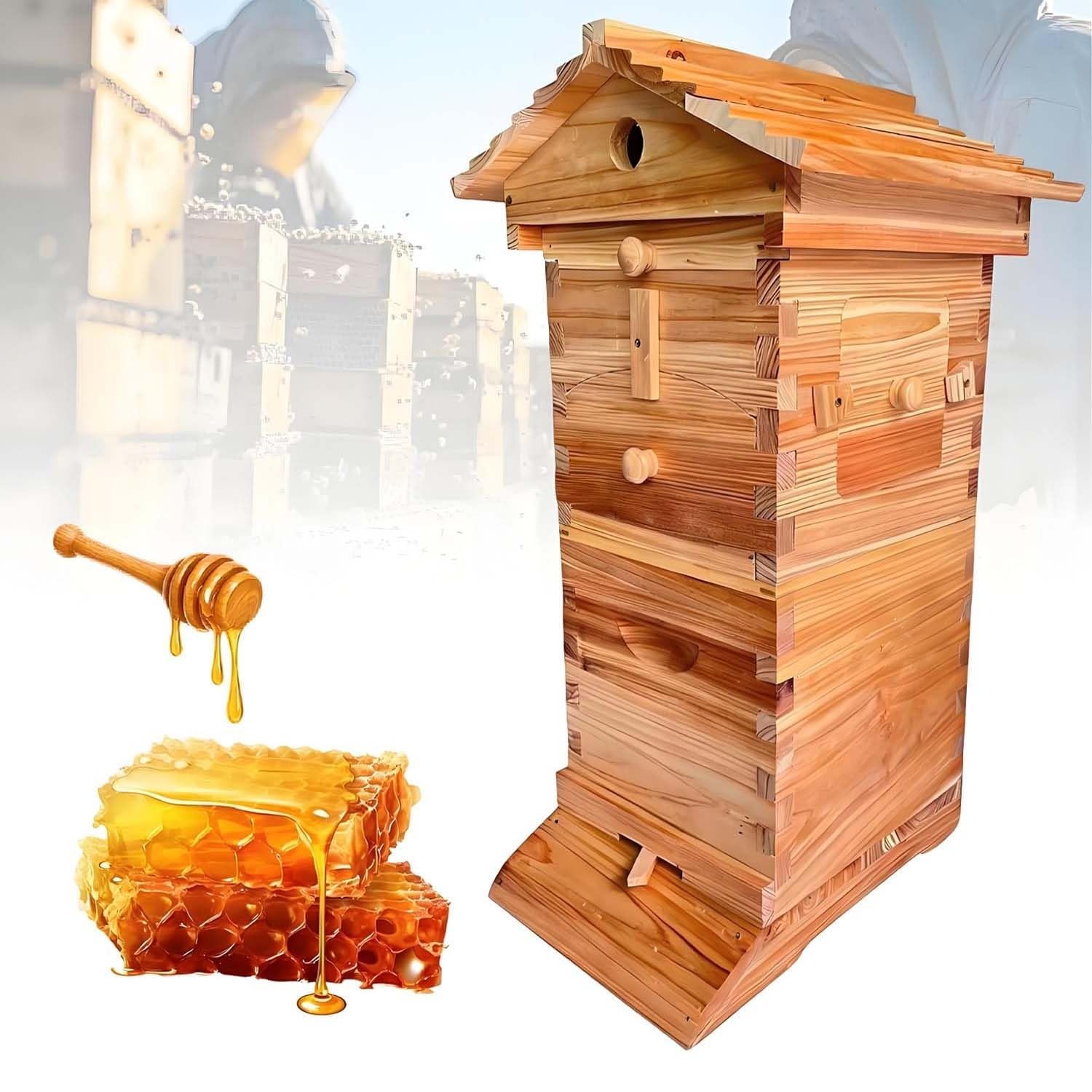 Selbstfließender Honig Bienenstock Holzkiste Kit Auto Bienenstock mit 4 Rahmen Imkerei Starter für Honig Ernte