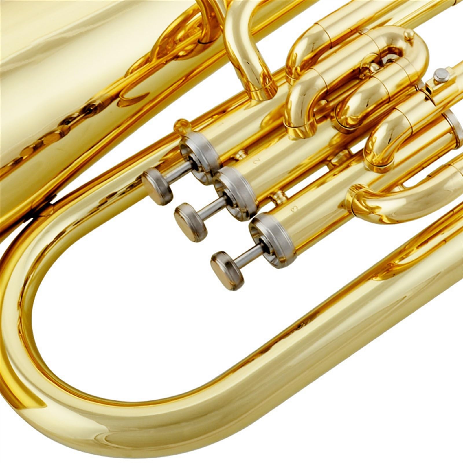 Débutants euphonium Euphonium À Clé Plate B Pour Les Performances D'un Groupe Adulte