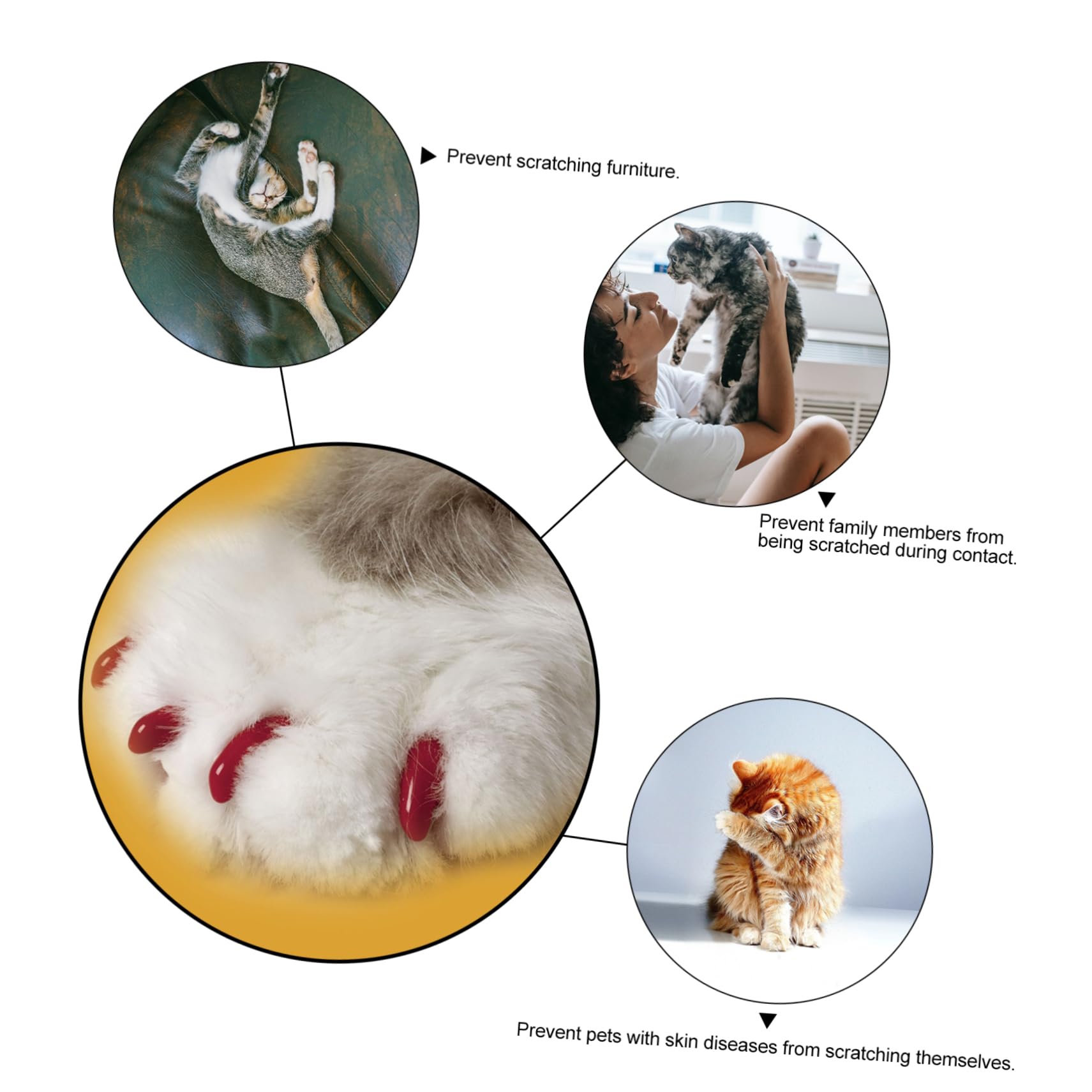 Beavorty 320pièces Couvre- pour Adhésives Griffes pour Animaux De Compagnie Accessoire Pratique Et