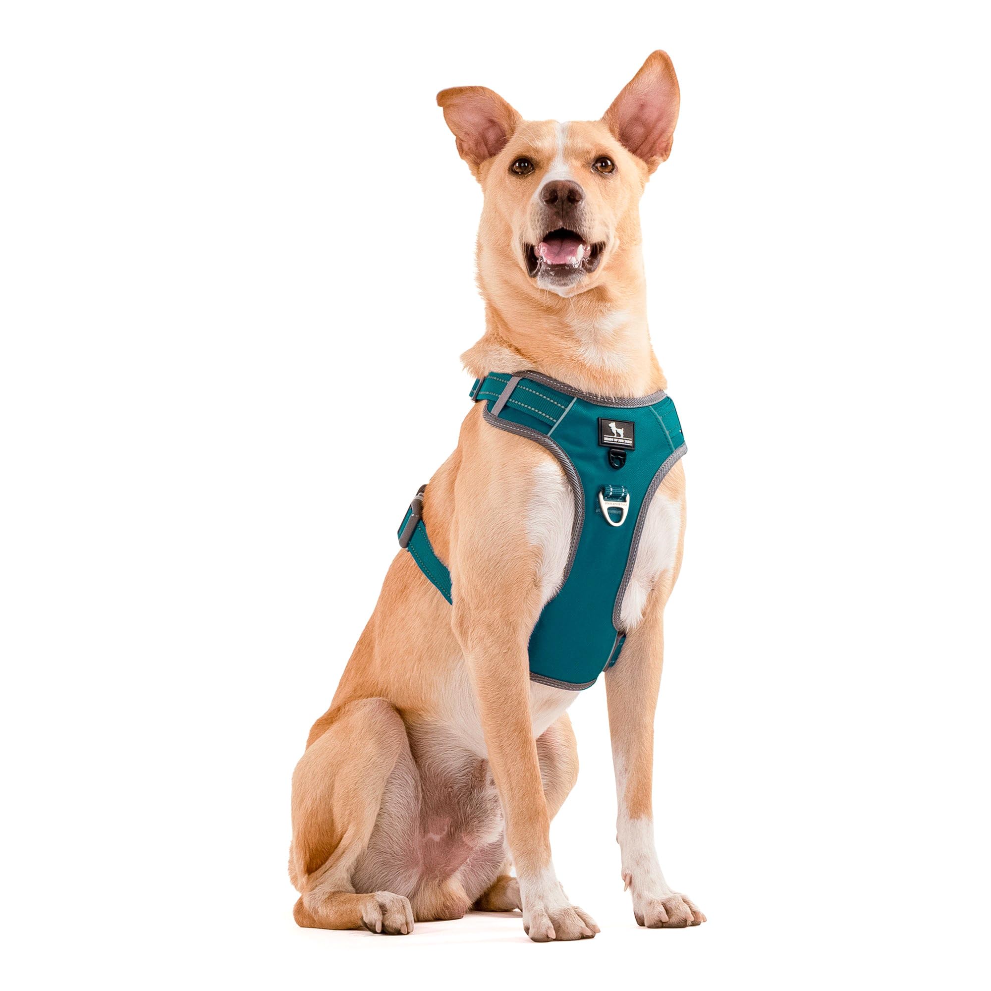 HUFT Active Pet Dog Harness - Teal Blue - M (B0DBVRHR9X) Amazon Price History, Amazon Price Tracker