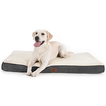 large dog bed size