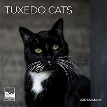 Tuxedo Cats 2027 Wall Calendar, 12 x 24 Hanging Pacific Waters Press