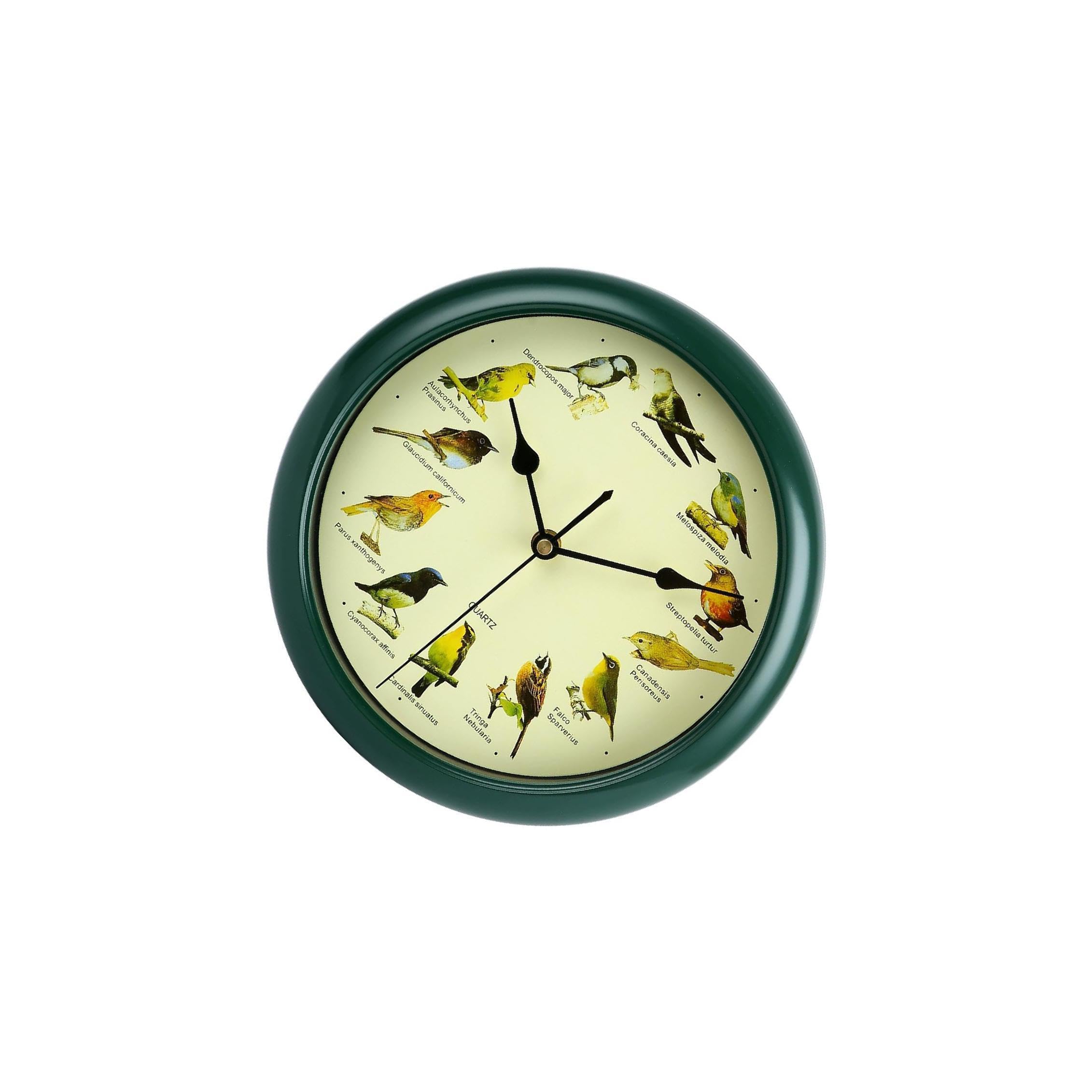 Horloge murale oiseaux sauvages chanteurs pour un intérieur vivant