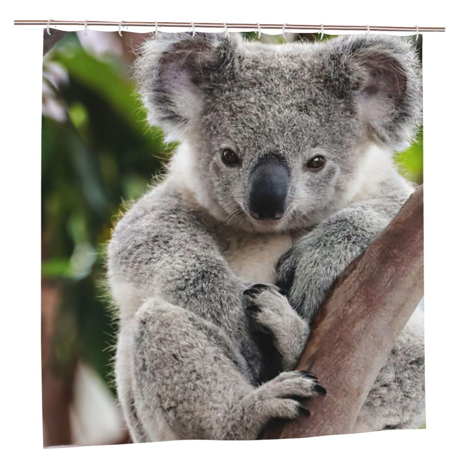 Rideau de douche koala en polyester premium avec 12 œillets inoxydables durables