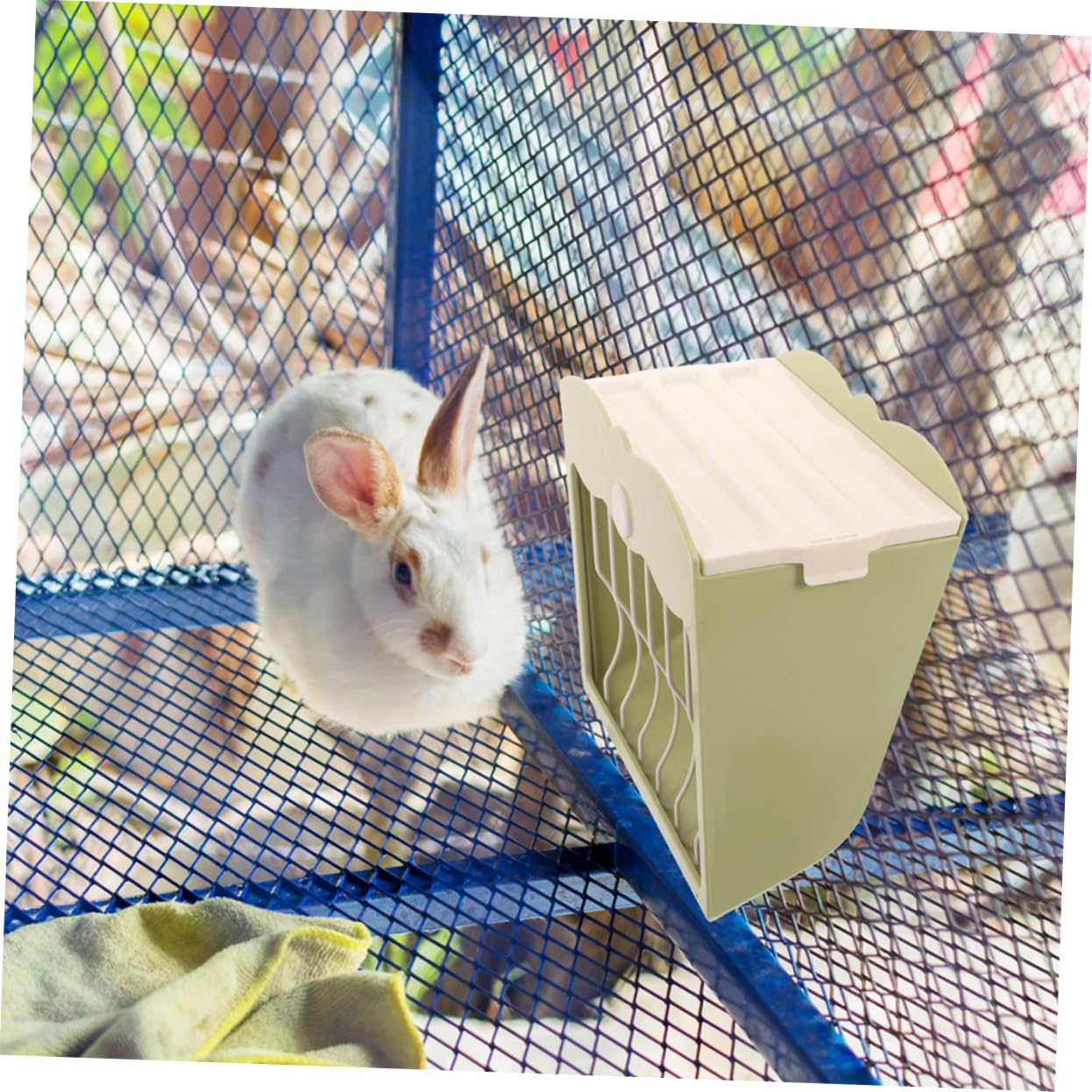 2pezzi Mangiatoia Per Conigli e Porcellini Da Contenitore Appeso Riutilizzabile Supporto Per Cibo Per Piccoli Animali Facile Da Pulire e Manutenere