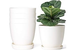 Mkono 7.5" Plant Pot with Saucers - Cream White