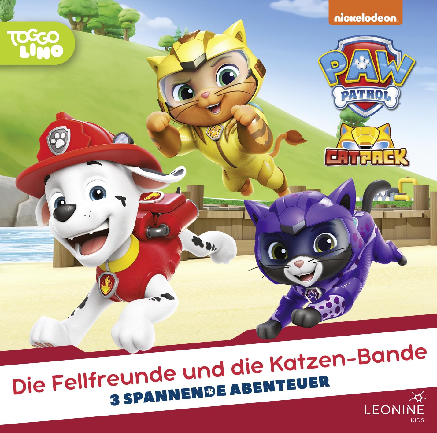 Paw Patrol 5