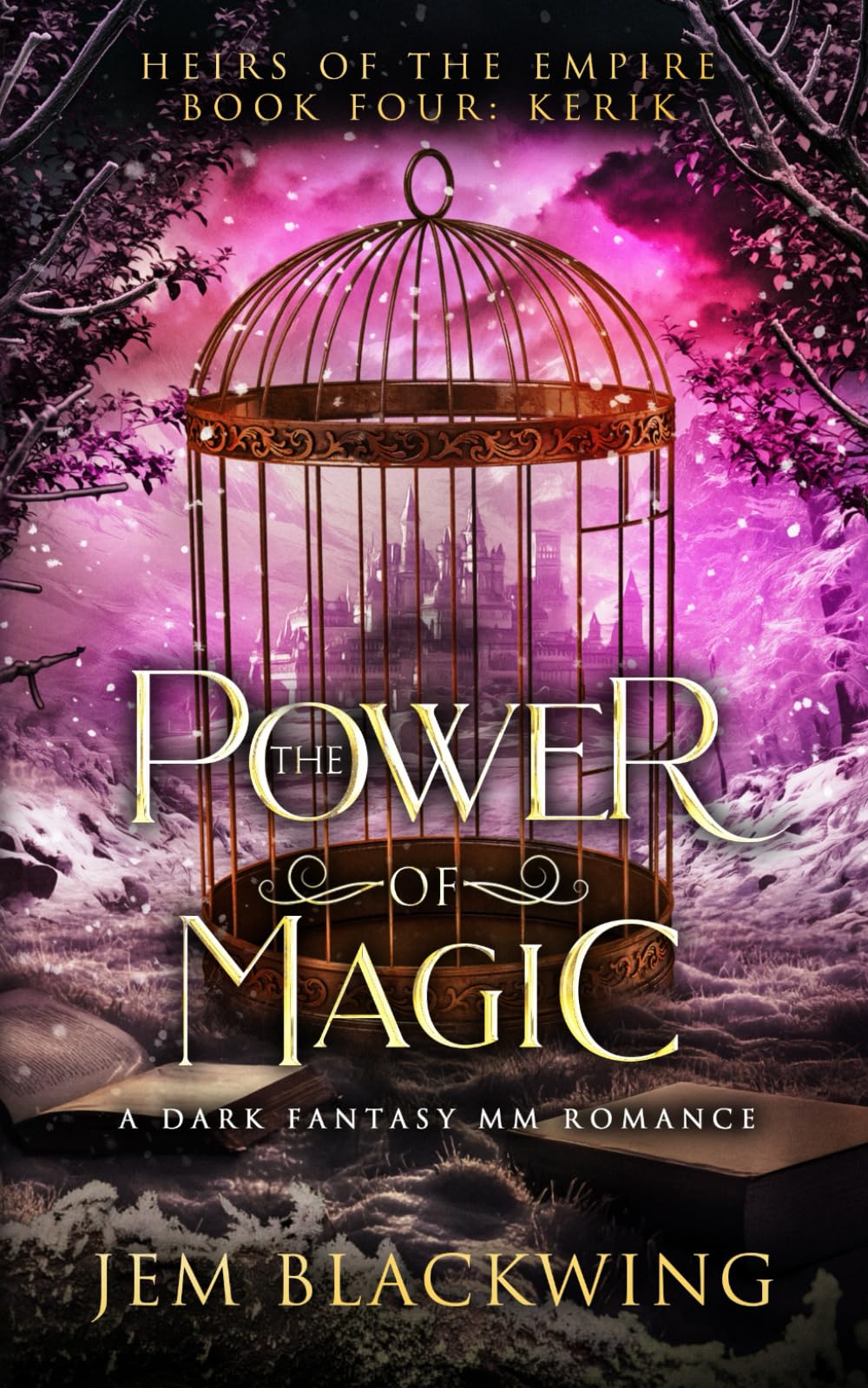 The Power of Magic: A Dark Fantasy MM Romance (Heirs of the Empire)