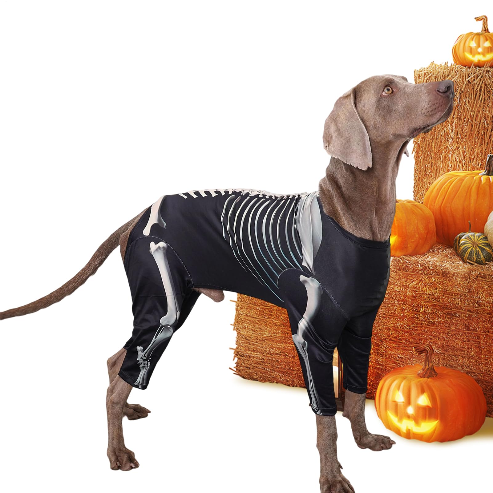 Patifirst Halloween Dog Costumes,Dog Skeleton Sweatshirt | Puppy Bodysuit Pet Halloween Clothes for Holiday Photo Celebrations Travel Gathering Daily Home Outdoor Friends