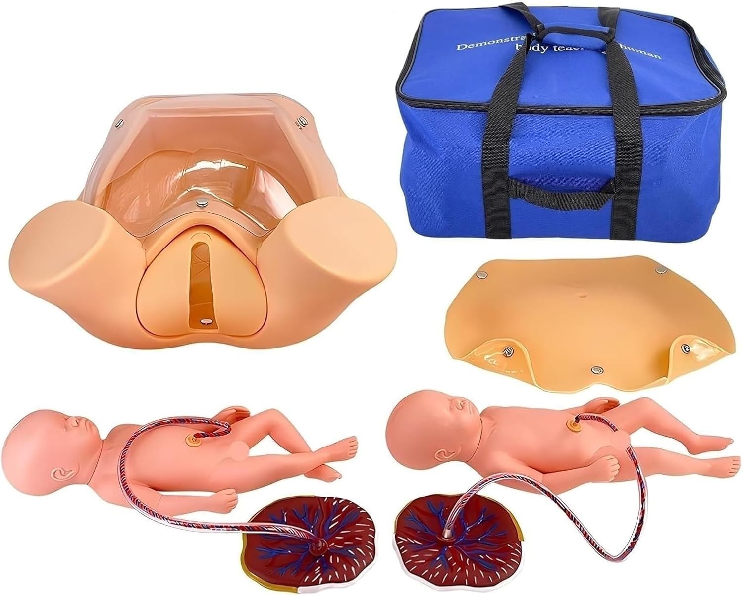 Generic Child Birth Education Tools, Midwifery Training Model,Childbirth Simulator, 2 Placentas, 2 Umbilical Cords and Carrying Case for Medical Education