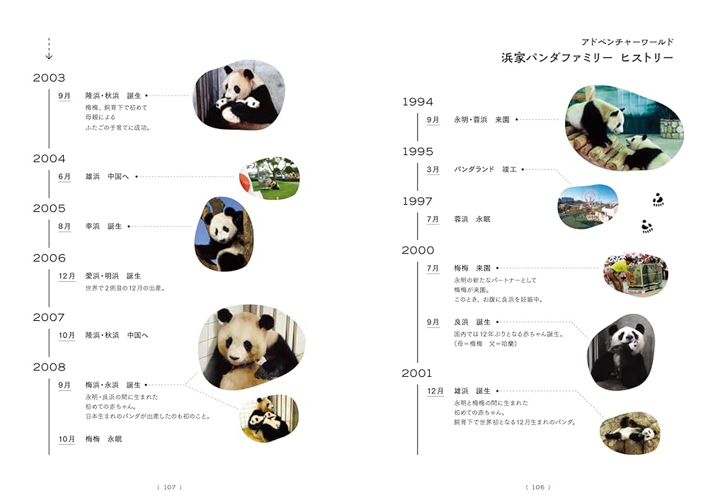 旅するぱんだ　横浜編 またね、尊いパンダたち。 旅に出たアドベンチャーワールドの浜