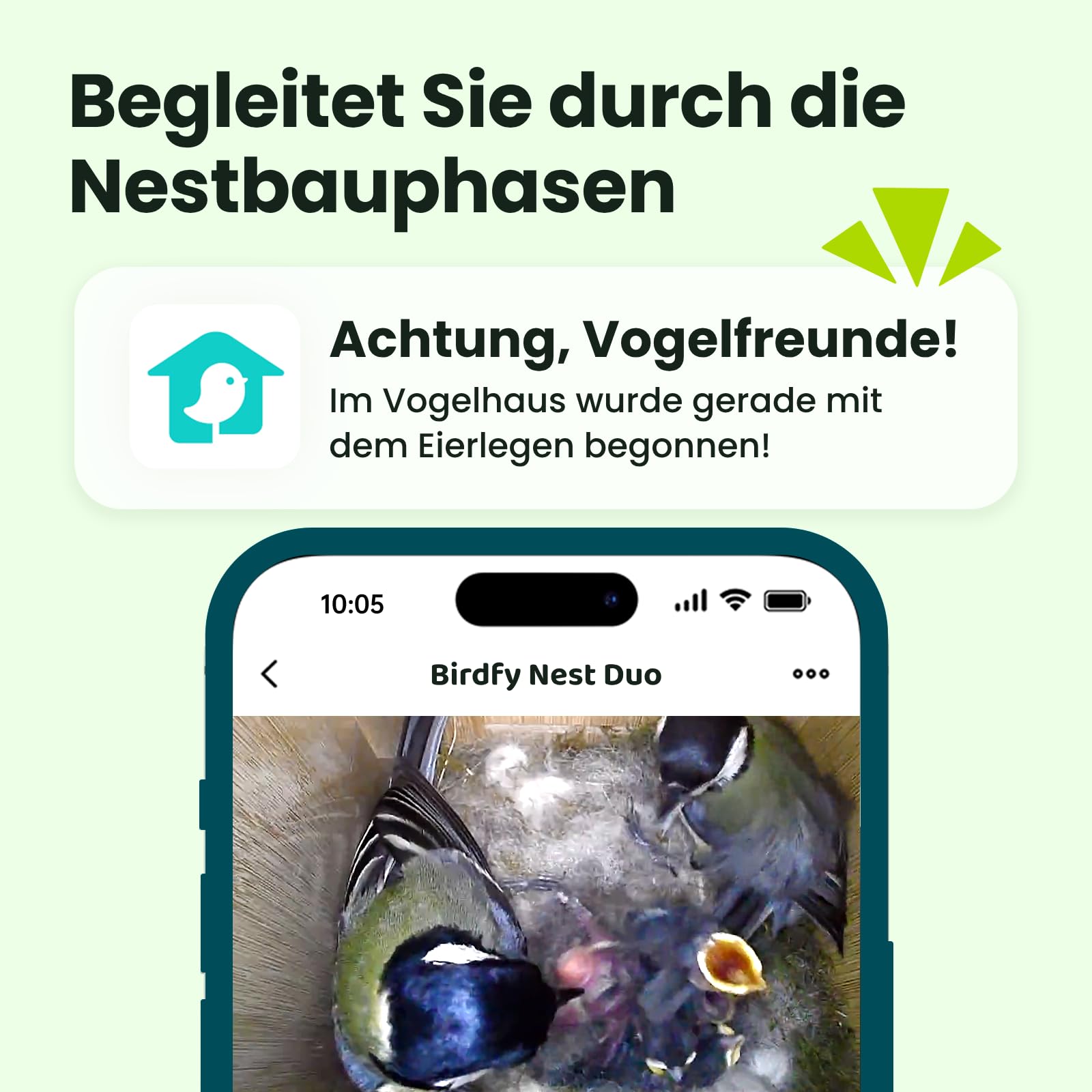 Birdfy Smart Vogelhaus mit Doppelkamera für Live Vogelbeobachtung, 1080P Bambus Nistkasten mit Kamera, Nachtsicht, KI-Verhaltensanalyse mit Benachrichtigungen & automatischen Aufnahmen
