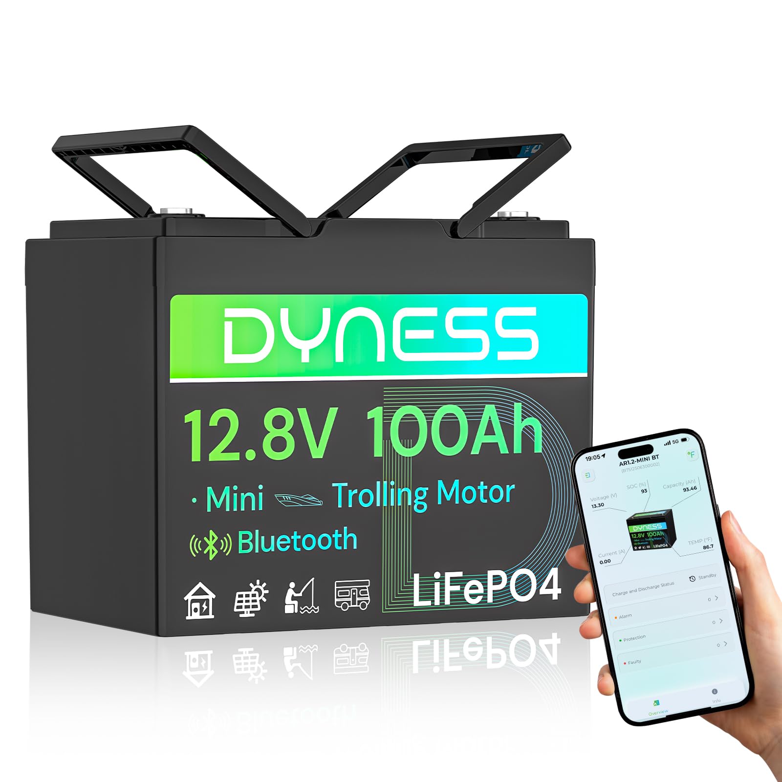Dyness 12V 100Ah LiFePO4 with Bluetooth
