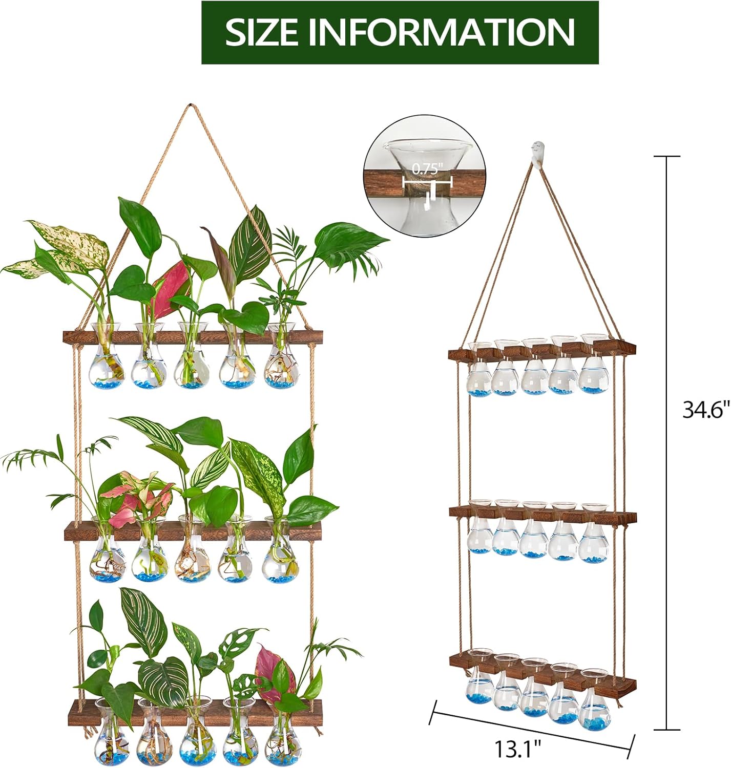 XXXFLOWER Wall Hanging Propagation Station with Wooden Stand 5 Bulb Vase 3 Tiers Planters+Flower Vases Accessories-3 Bulb Vase
