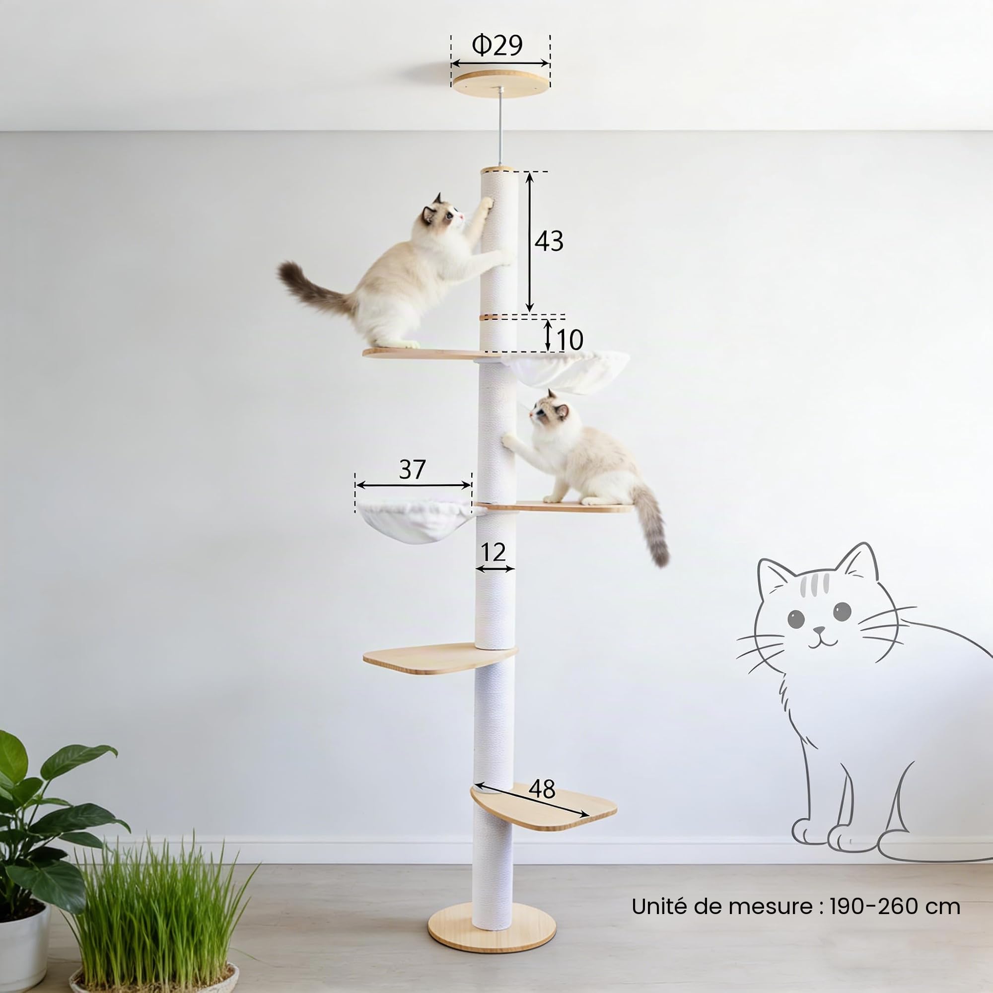 Arbre à Chat à Hauteur de Plafond – Centre d'activités d'escalade pour Chats à 5 étages avec griffoir, 4 Niveaux, 2 hamacs, réglable en Hauteur 190–260 cm, du Sol au Plafond, Peu encombrant et Stable