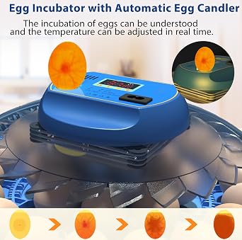 Incubators for Hatching Eggs, Eggs Incubator with Automatic Egg Turning and Auto Water Adding with Egg Candle, Incubator for Chicken Eggs with 2 Egg Trays