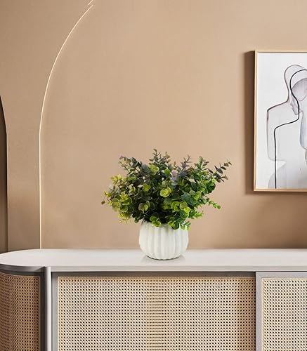 Miniatura 6 de ENOVA FLORAL Plantas en maceta, decoración artificial, plantas de eucalipto artificiales en macetas de cerámica blanca, pequeñas plantas falsas en