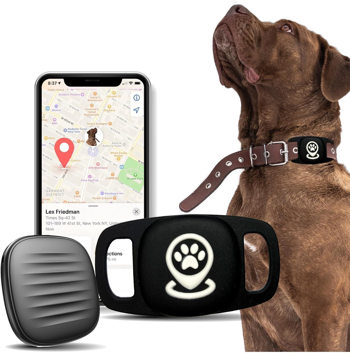 Gps Collar Gps Tracking Device For Dogs Pet Tracker Dog Tracker