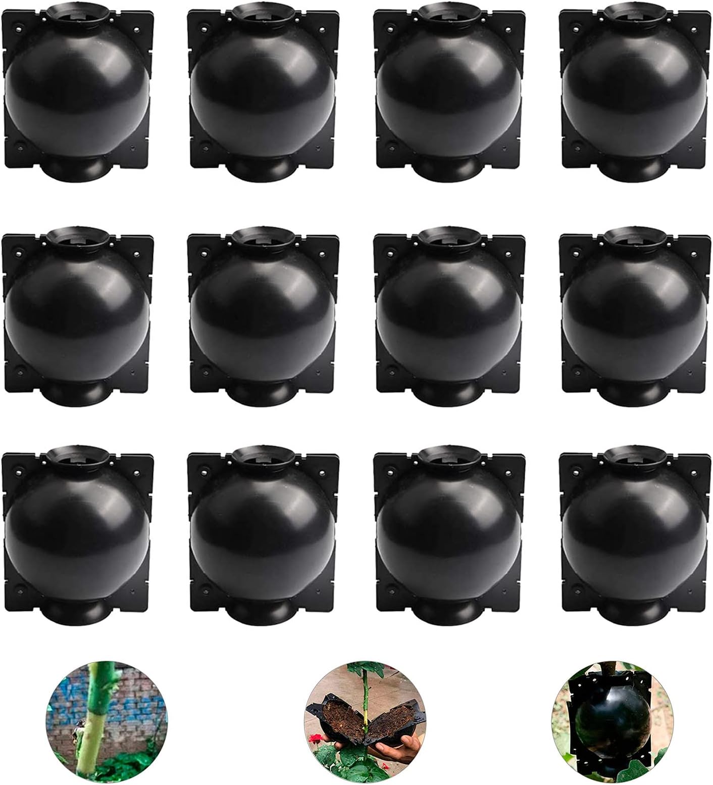 NATARA Plant Rooting Device1 Plant Root Growing Box Grafting Different Plants Plant Roots Device Reusable for Indoor Plants Reproduction In The Open Air, 12 Pieces