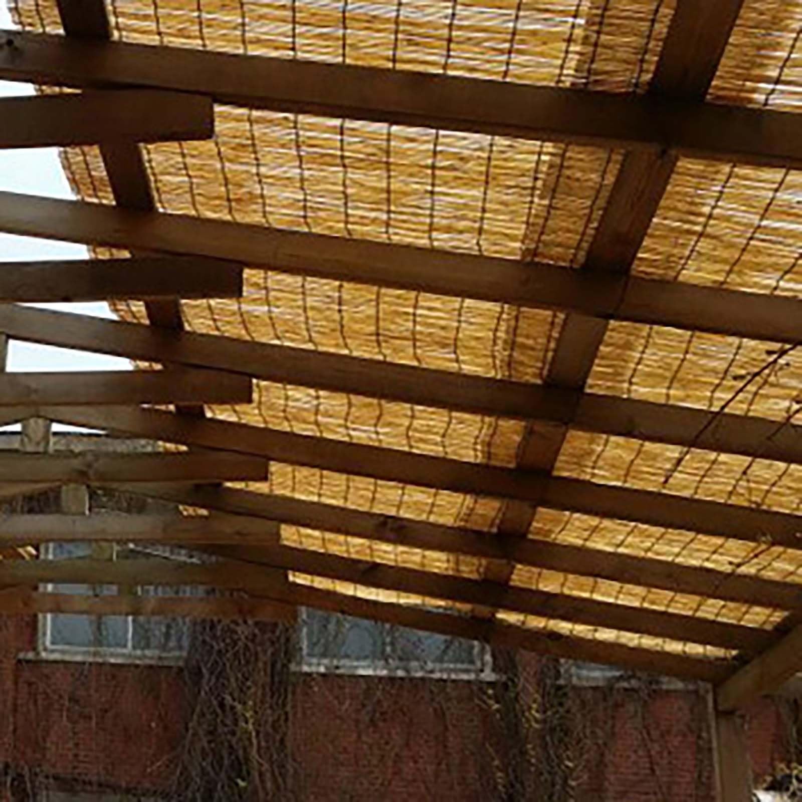 Valla Cañizo Natural De Bambú Divisor De Valla,Cañizo De Bambu Pelado De Privacidad Parasol Impermeable,Rollo De Caña para Valla Respetuoso del Medio Ambiente,para Jardín, Villa(180 x 600 cm (H x B))