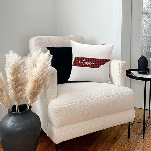 Miniatura 4 de Buffalo Red Plaid Cojines Decorativos para Sala de 18 x 18 pulgadas, Día de San Valentín, Amor del Estado de Estados Unidos, Tennessee, fundas de