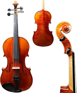 Master 4/4 Full-Size Violin | Hand-Varnished with 20+ Year Aged Italian Spruce & Bosnian Maple | Professional Orchestra Instrument for Professional soloists and session players VIO1050