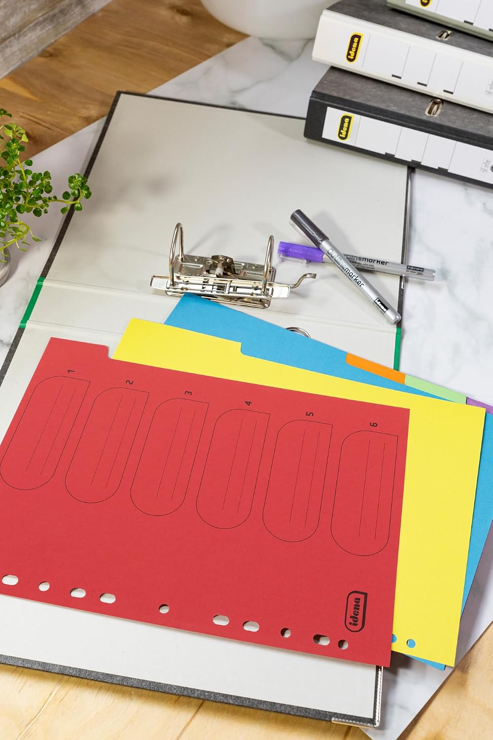 Idena 90266 Cardboard Index for DIN A4 Documents, 22.5 x 30 cm, 18 Full-Colour Dividers in 6 Colours, 150 g/m², Organiser with Euro Holes and Organisational Print