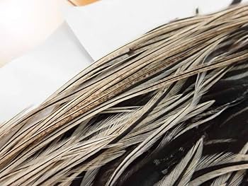 メッツ 未使用 グレード1　ハックル バジャー メッツ 未使用 グレード1 ハックル バジャー 2025年最新