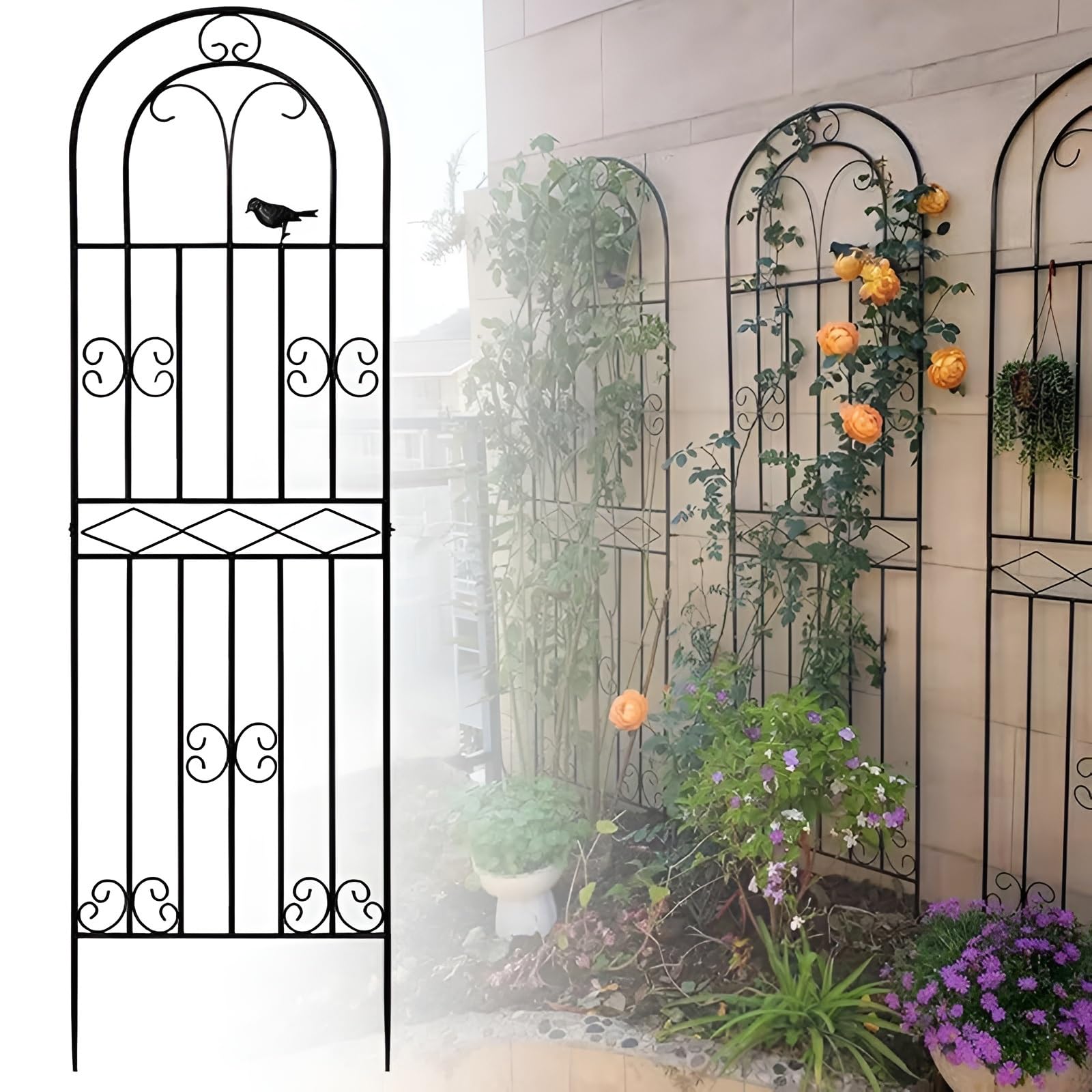 Treillis de jardin en métal antirouille pour plantes grimpantes – 90 cm à 220 cm – Filet de support pour plantes d'extérieur pour concombres et fleurs (noir, 50 x 310 cm)