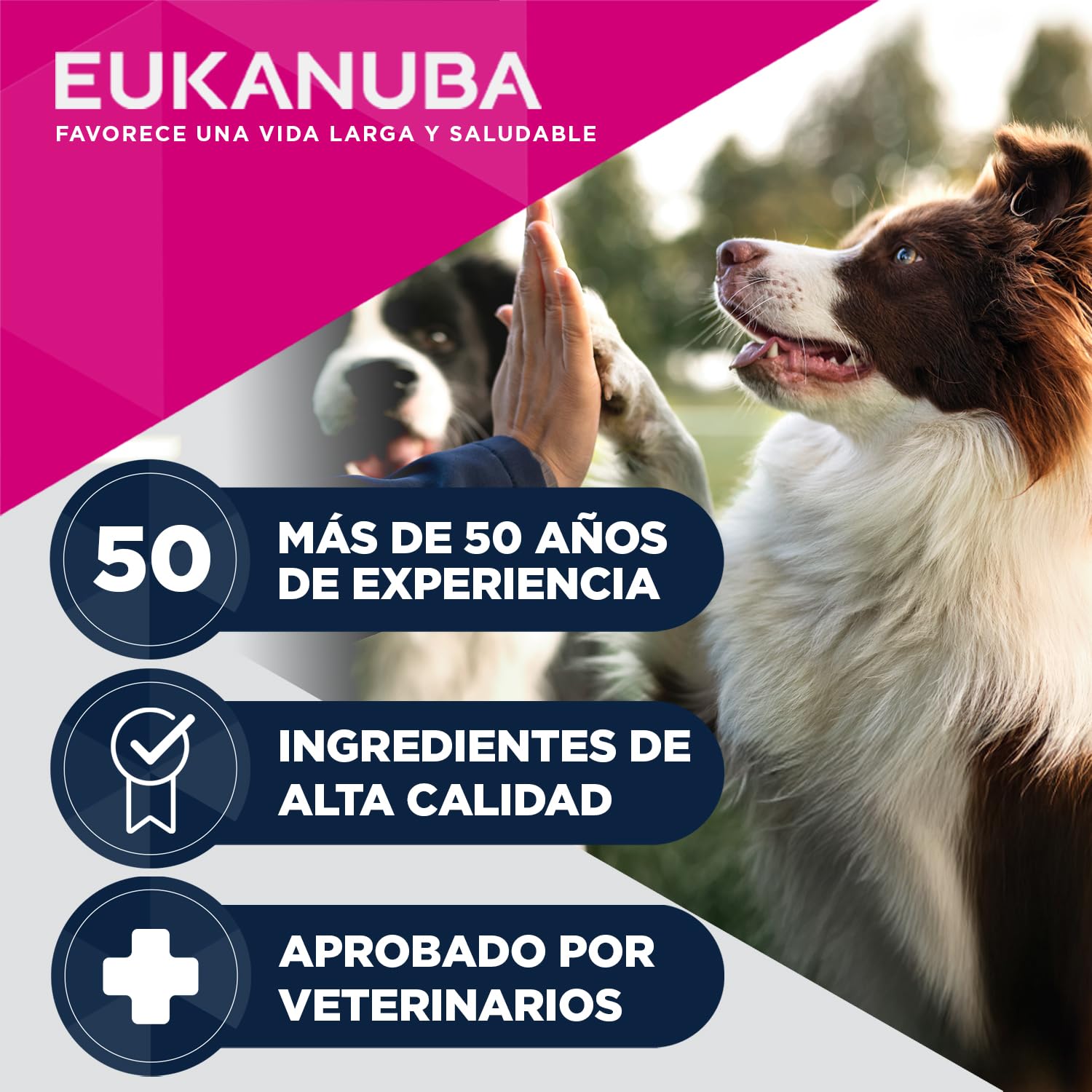 Eukanuba Alimento húmedo EUKANUBA Special Care para Perros Adultos, Mono-Protein de Pollo 6 x 400 g