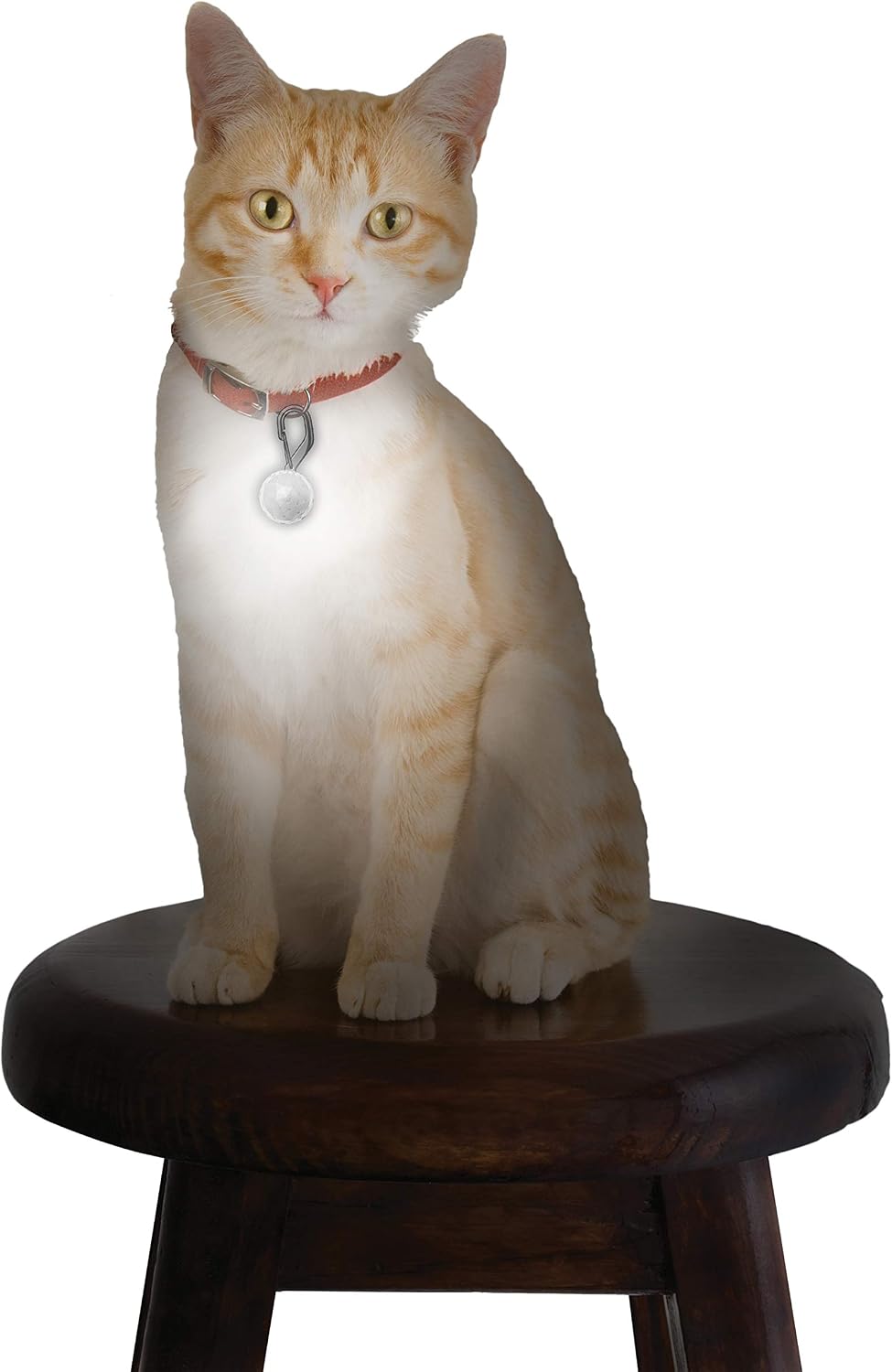 Nite Ize PetLit LED Collar Light, Dog Or Cat Collar Light, Replaceable Batteries, White LED Jewel Design