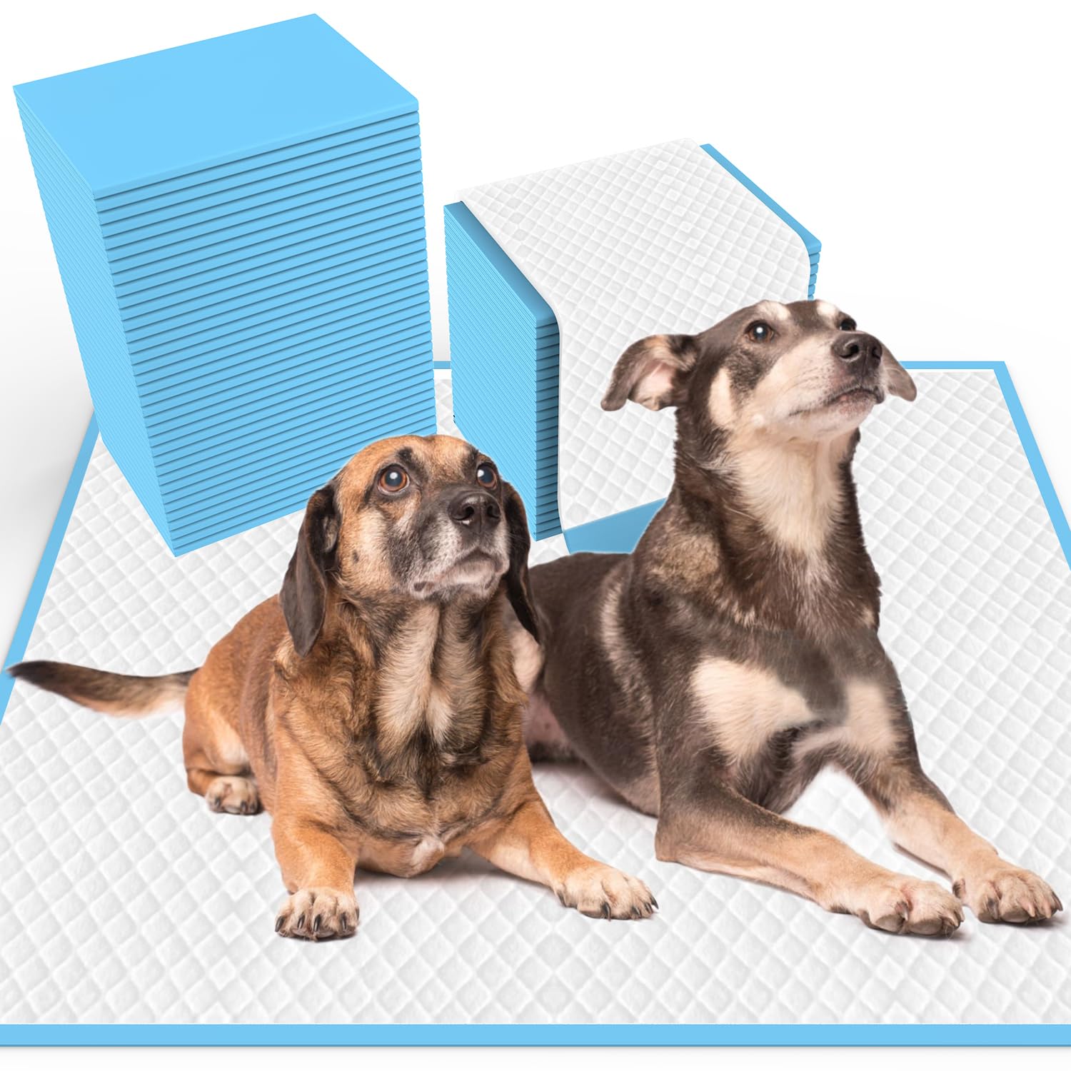 Puppy Pee Pads for Dogs - 30 Count Pet Training Dog Pee Pads, 30''x36'' Extral Large Heavy Absorbent & Leak-Proof Puppy Pads, Thicken 6 Layers