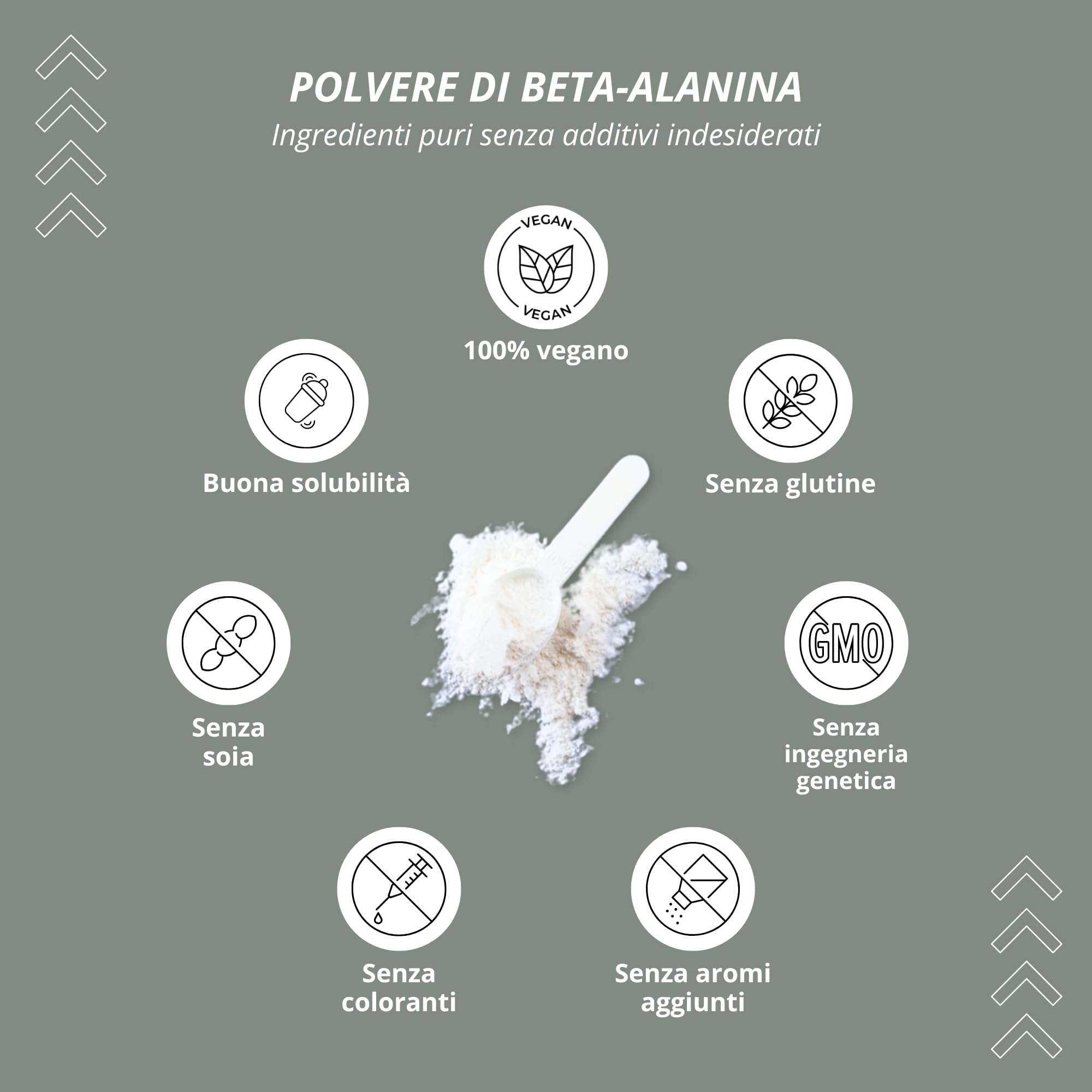Nutri + Beta Alanina in Polvere 1 kg - vegana pura ad alto Dosaggio e senza Additivi - Booster pre-Allenamento - ß Alanine vegan Powder - Energizzante Sport 1000 g