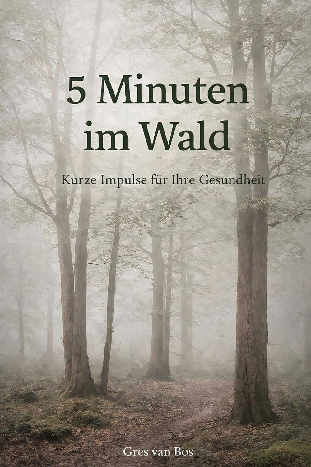 5 Minuten im Wald: Kurze Impulse für Ihre Gesundheit